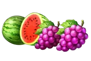 Symboles pastèques et raisins